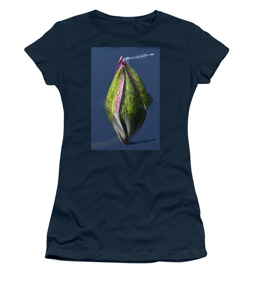 Longwood Gardens Women's T-Shirt featuring the photograph Dragonfly on Waterlily Bud by Tana Reiff