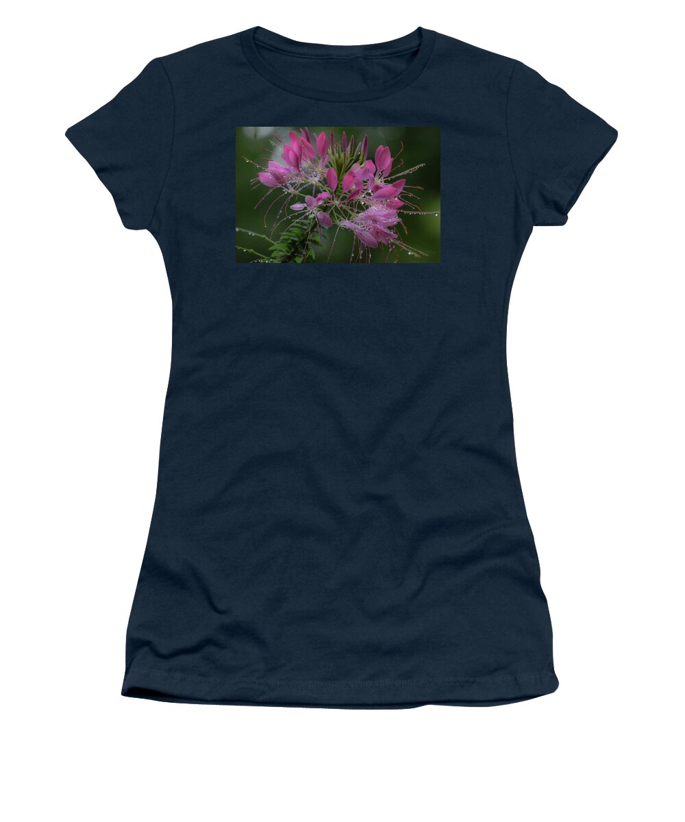 Cleome Women's T-Shirt featuring the photograph Drenched With Love by Deborah Crew-Johnson