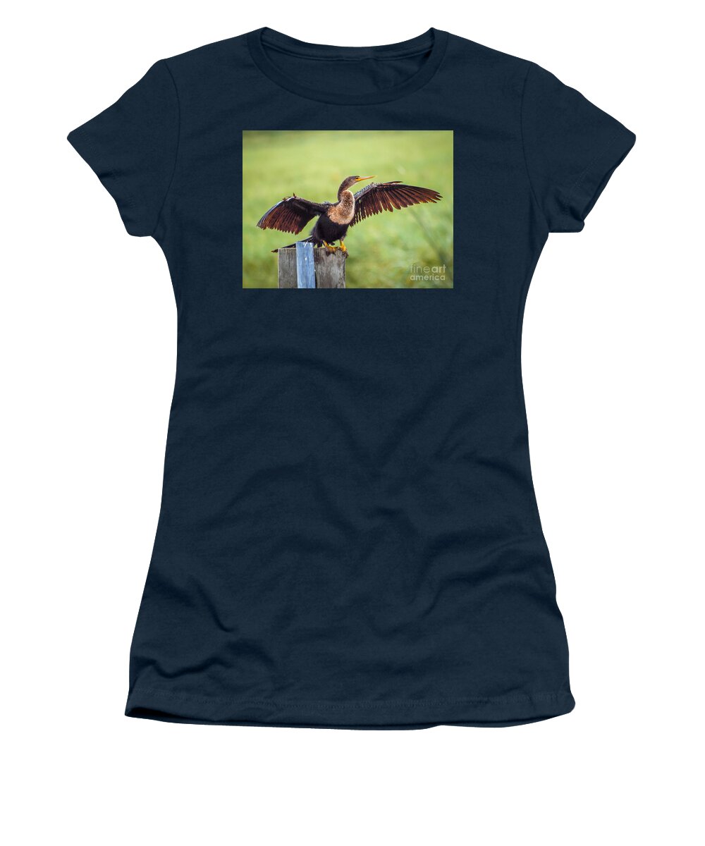 Anhinga Women's T-Shirt featuring the photograph Drying Wings by Tom Claud