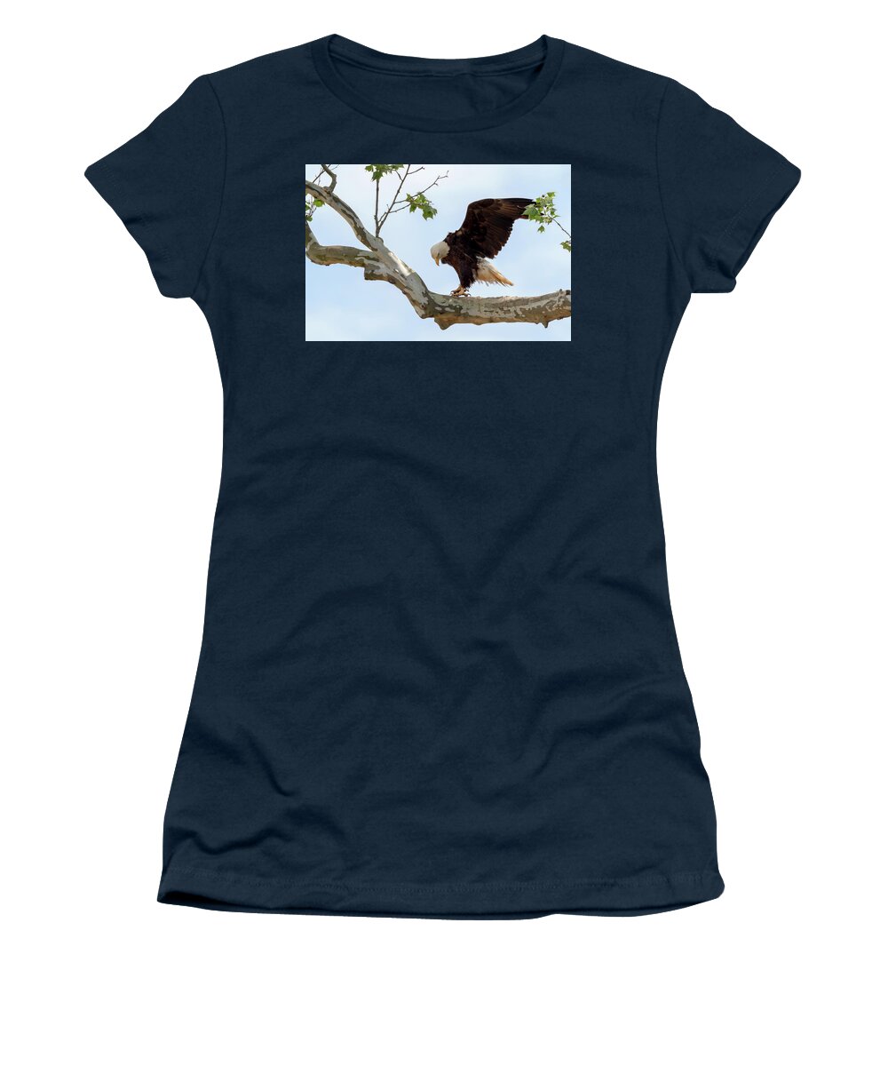 Bald Eagle Women's T-Shirt featuring the photograph Eagle Flying Lessons 1 by Susan Rissi Tregoning