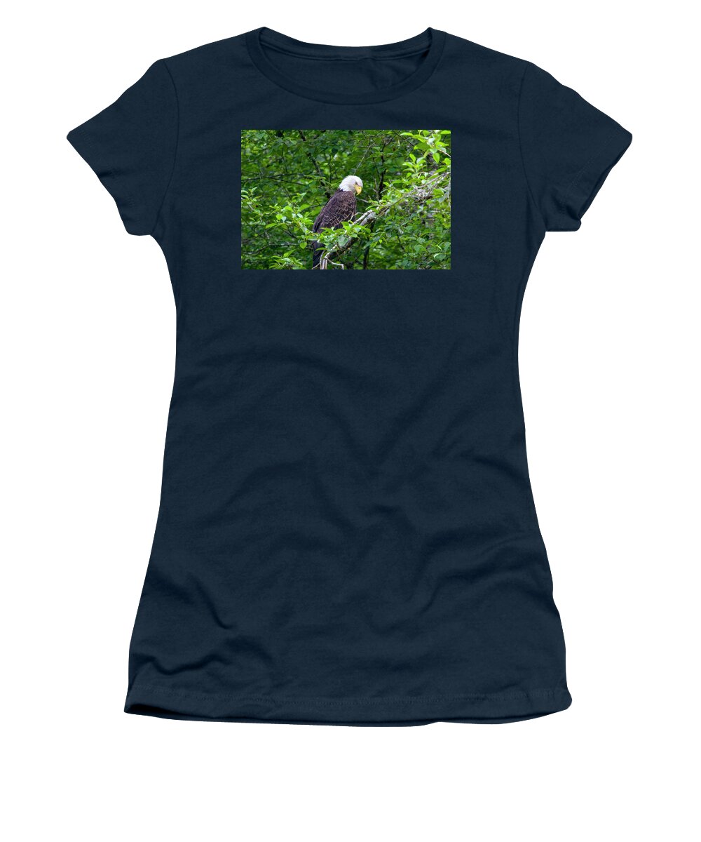 Bald Eagle Women's T-Shirt featuring the photograph Eagle in the Tree by Anthony Jones