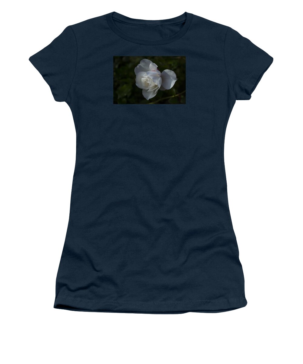  Women's T-Shirt featuring the photograph Early morning rose by Dan Hefle