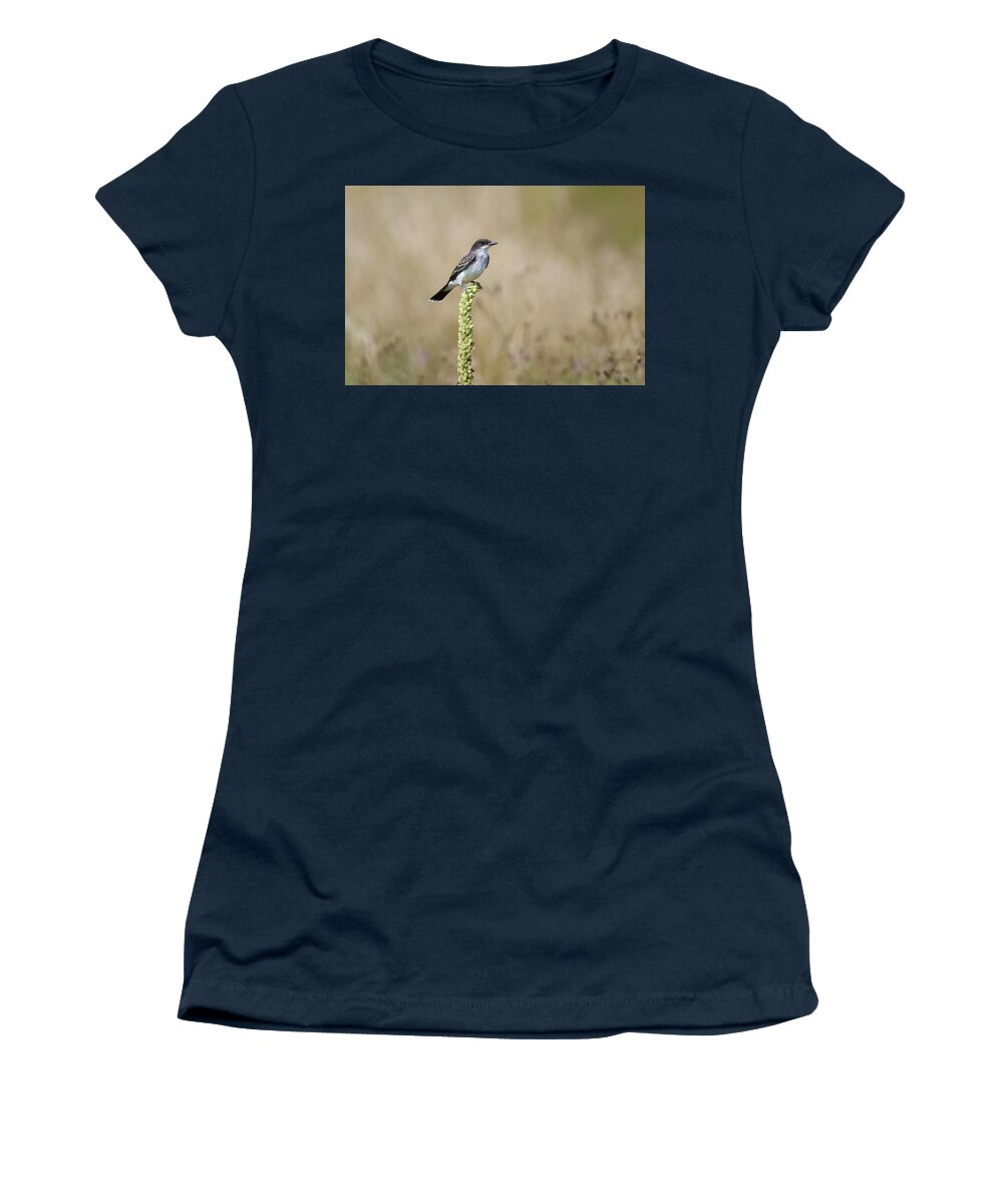 Eastern Kingbird Women's T-Shirt featuring the photograph Eastern Kingbird On Mullein Plant by Brook Burling