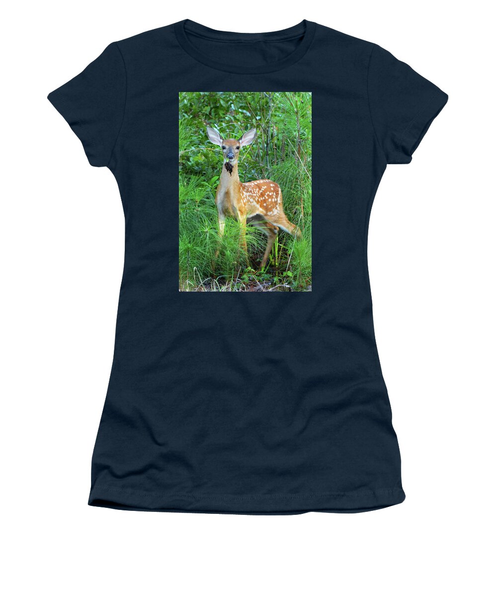 Deer Women's T-Shirt featuring the photograph Eating by Jerry Griffin