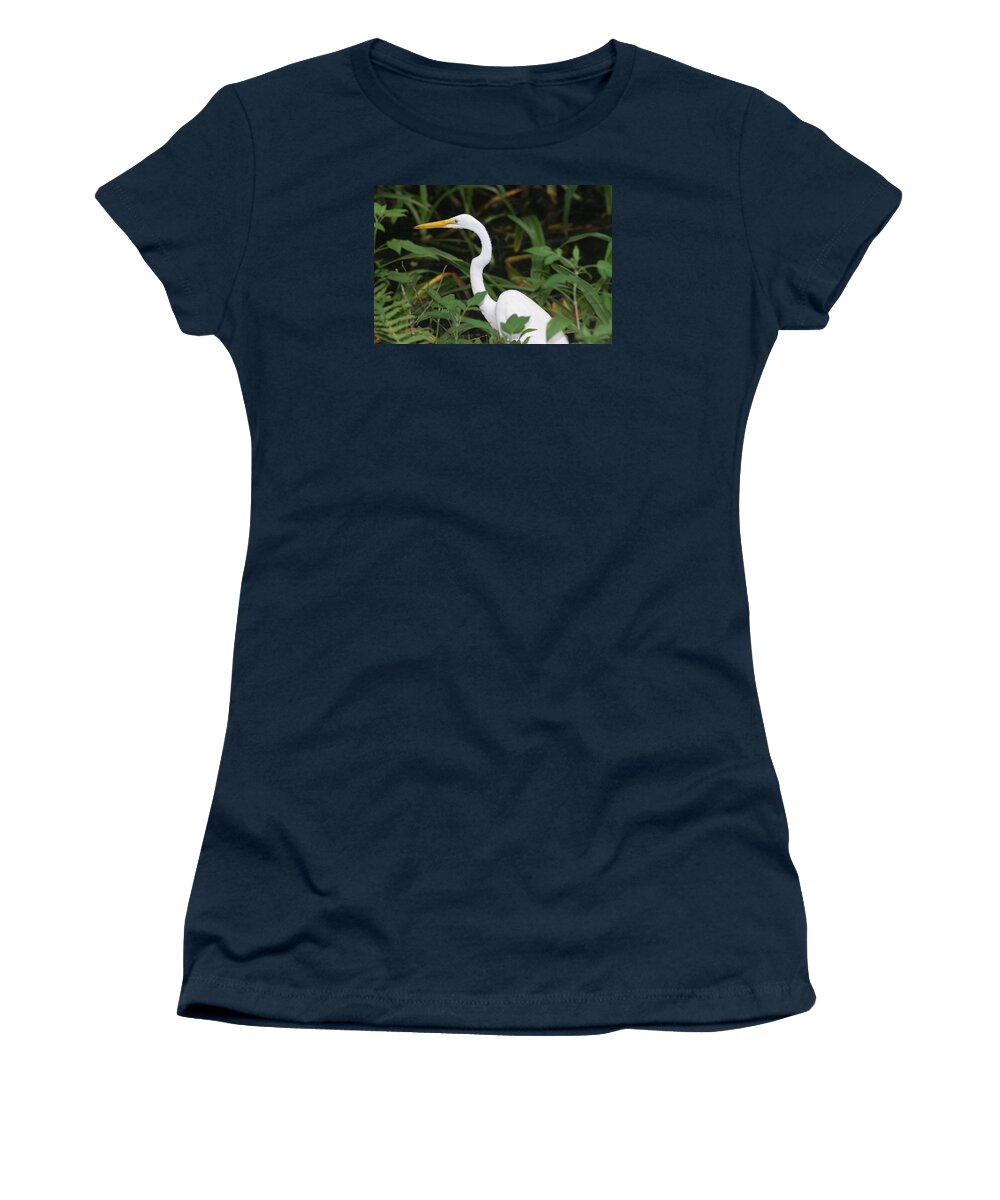 Florida Women's T-Shirt featuring the photograph Egret by Lindsey Floyd