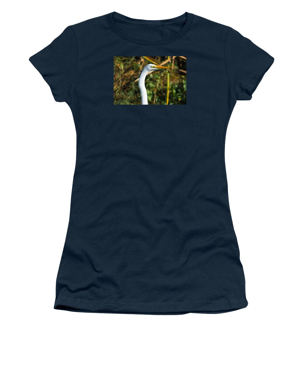 Feathers Women's T-Shirt featuring the photograph Egret Stare Down by Leticia Latocki