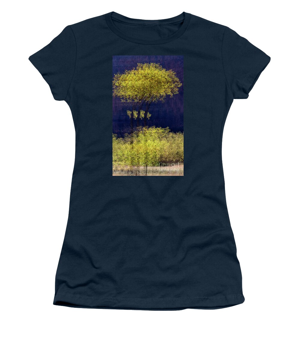 Cottonwood Tree Women's T-Shirt featuring the photograph Elegance in the Park Horizontal Adventure Photography by Kaylyn Franks by Kaylyn Franks