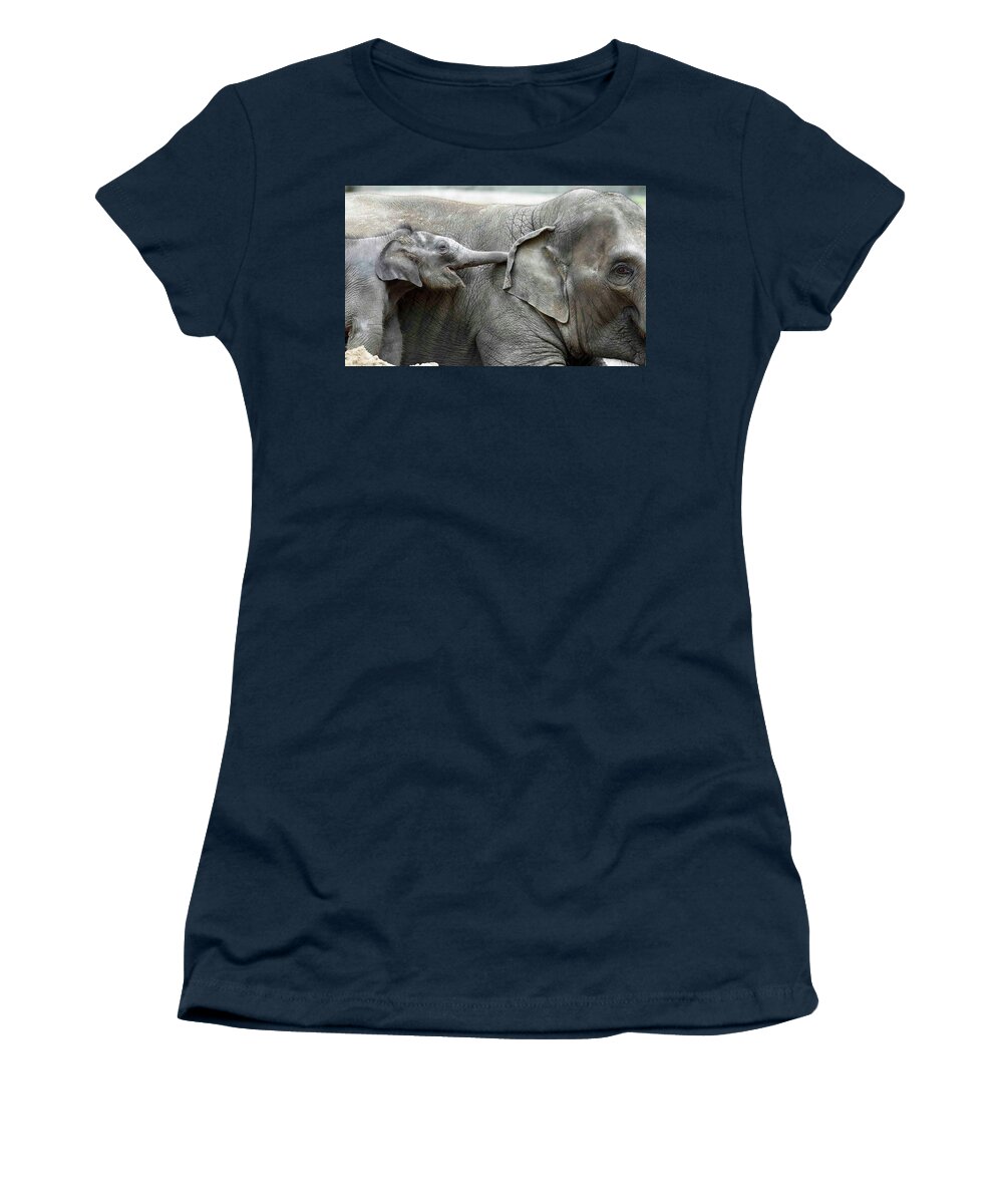 Elephant Women's T-Shirt featuring the digital art Elephant by Maye Loeser