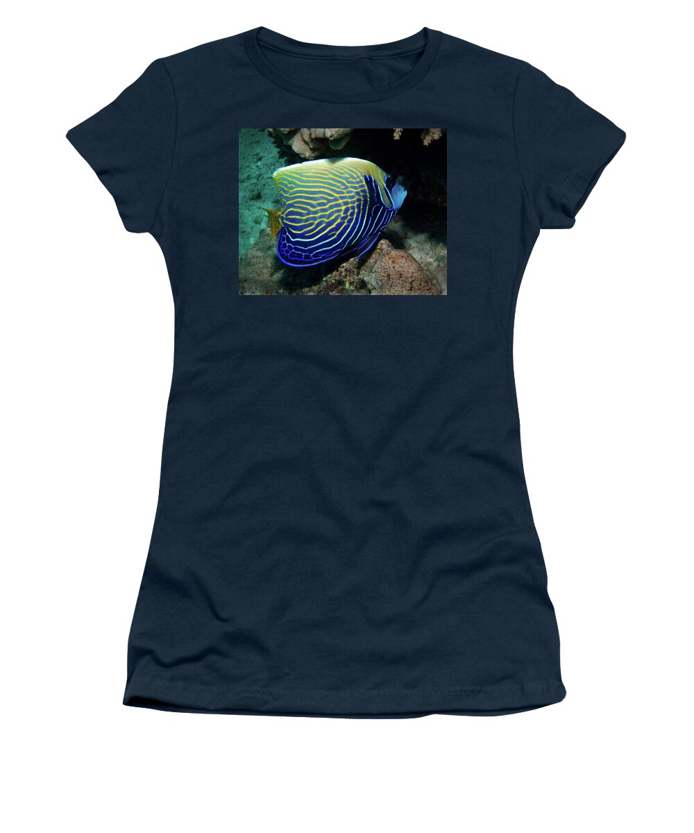 Emperor Angelfish Women's T-Shirt featuring the photograph Emperor Angelfish, Red Sea 1 by Pauline Walsh Jacobson