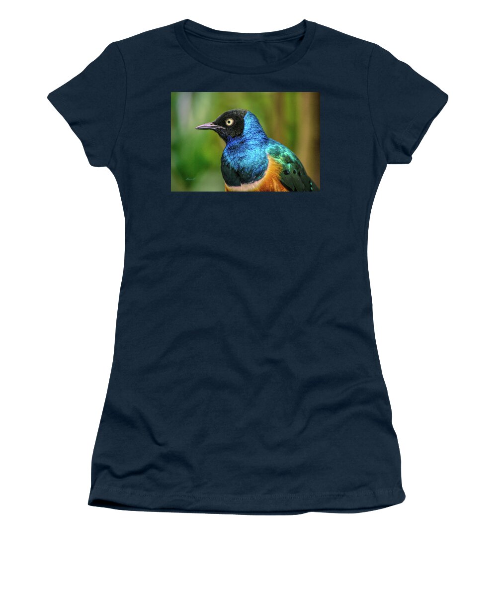 Beautiful Birds Women's T-Shirt featuring the photograph Endangered Species by Dennis Baswell