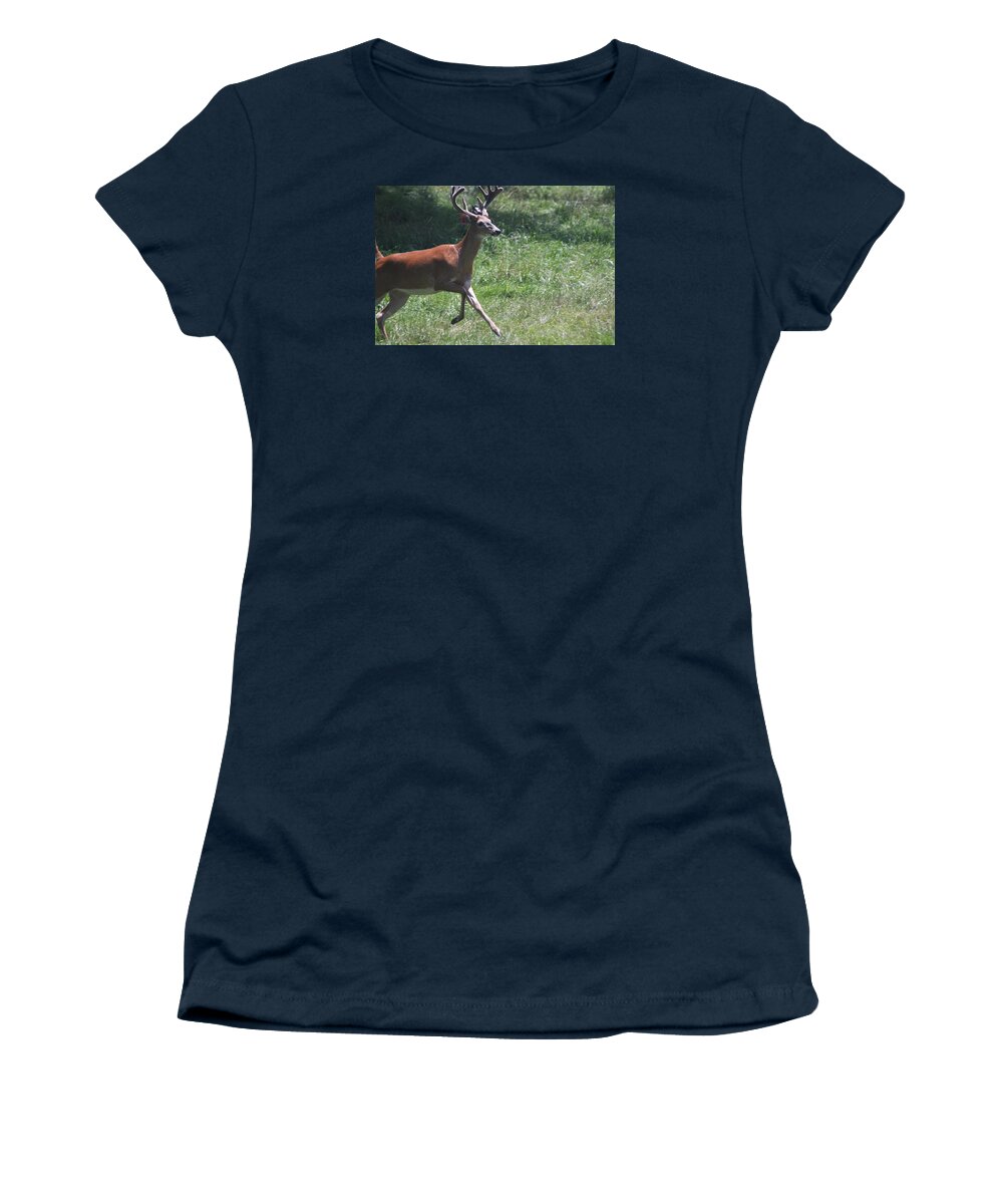 Vadim Women's T-Shirt featuring the photograph Enjoying a Bright Day by Vadim Levin