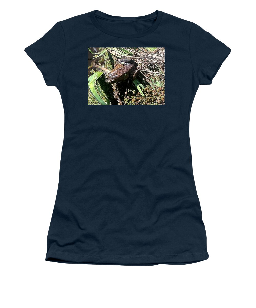 Frog And Moss Women's T-Shirt featuring the photograph Enjoying sunshine by Dottie Visker