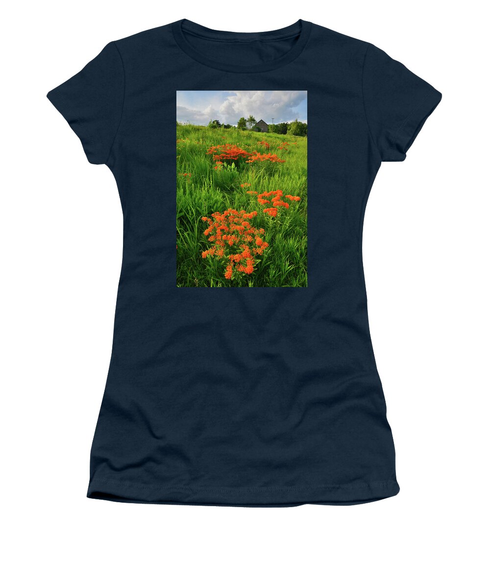 Glacial Park Women's T-Shirt featuring the photograph Evening Light on Butterfly Weed of Glacial Park by Ray Mathis