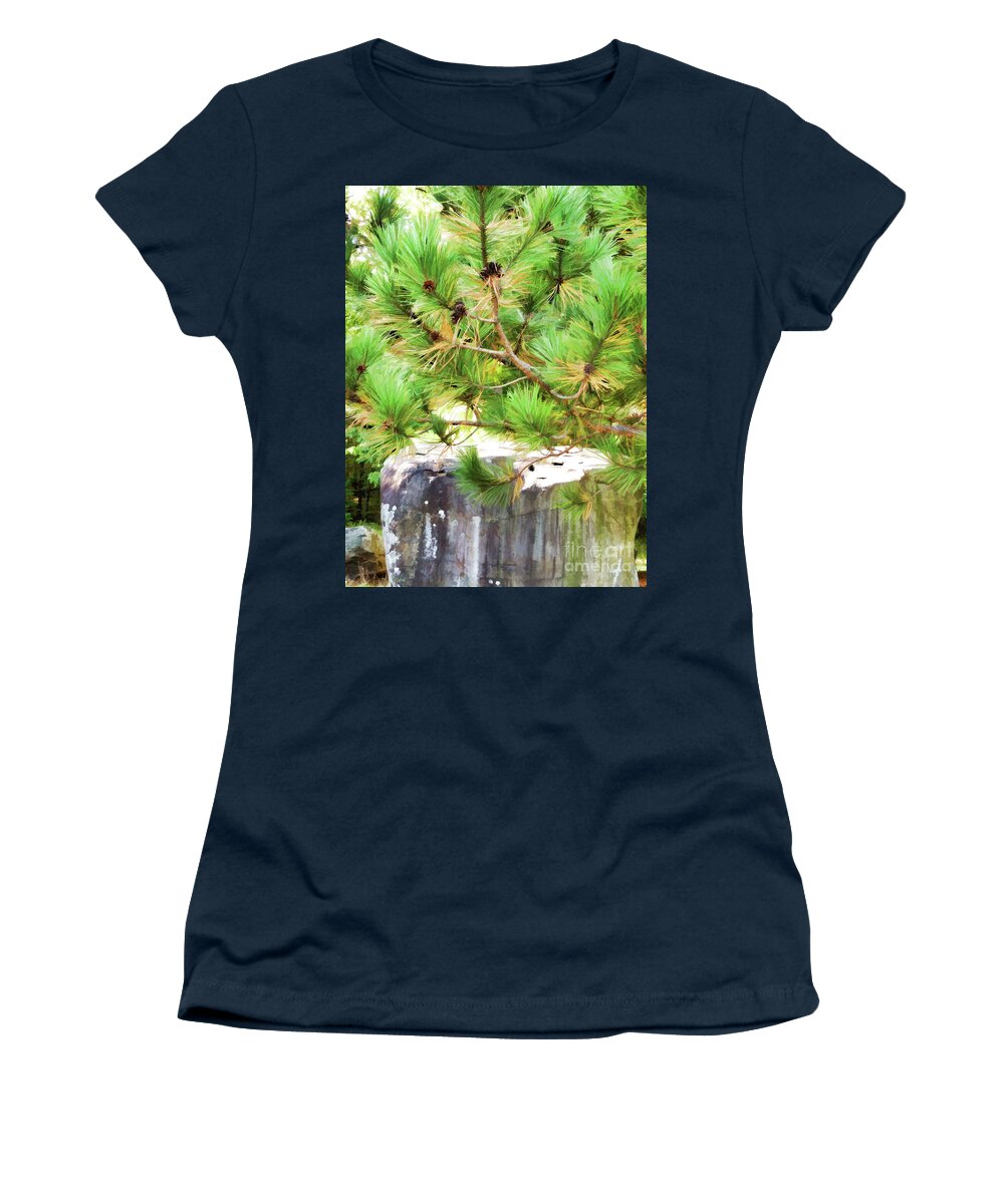 Evergreen-tree-branches-with-cones Women's T-Shirt featuring the painting Evergreen tree branches with cones by Jeelan Clark