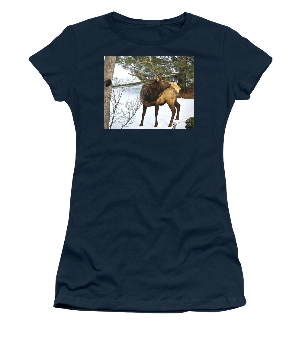 Wapiti Women's T-Shirt featuring the photograph Everything must be clean by Elisabeth Derichs