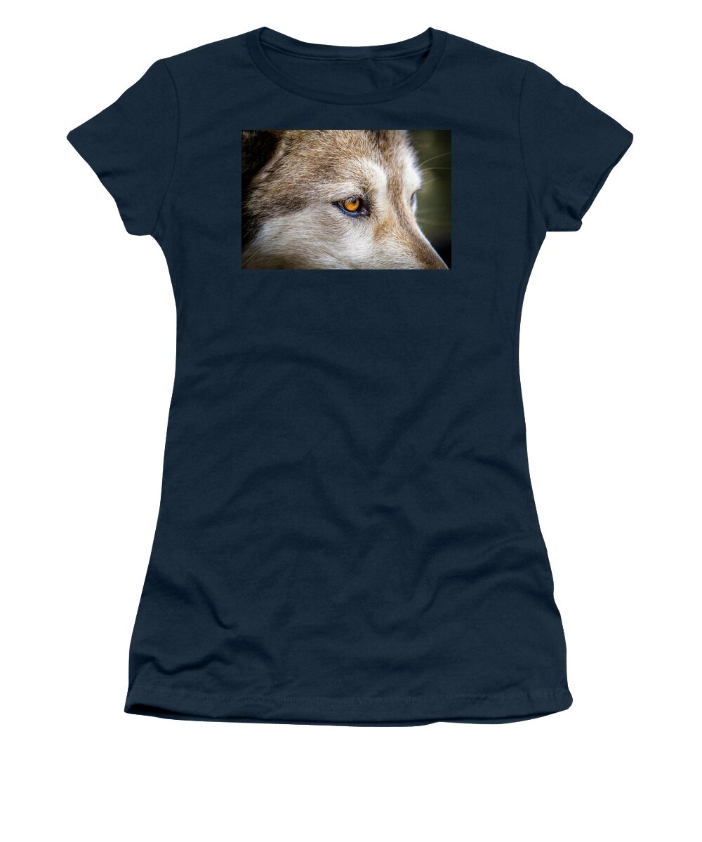 Animal Women's T-Shirt featuring the photograph Eyes of the Gray Wolf by Teri Virbickis