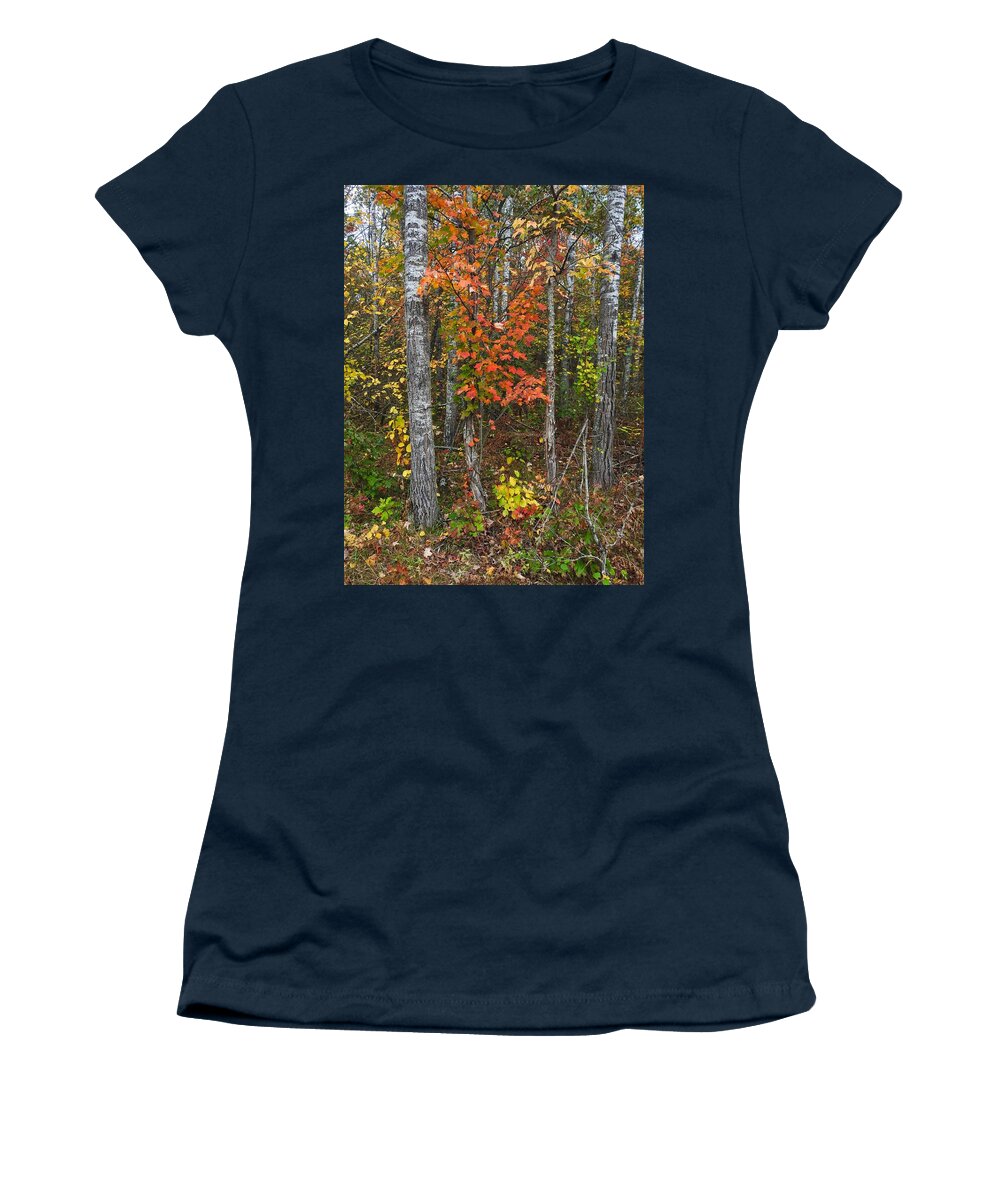 Fall Women's T-Shirt featuring the photograph Fall Color at Gladwin 4543 by Wesley Elsberry