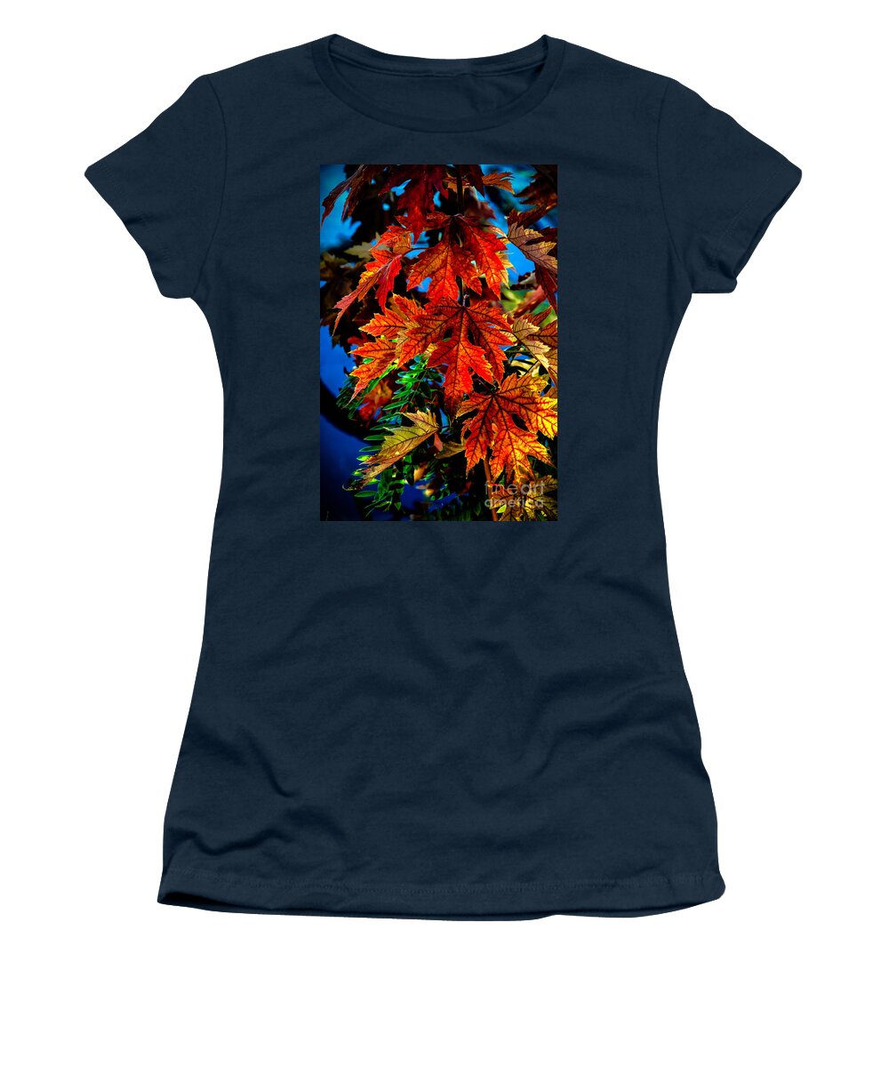 Maple Women's T-Shirt featuring the photograph Fall Reds by Robert Bales