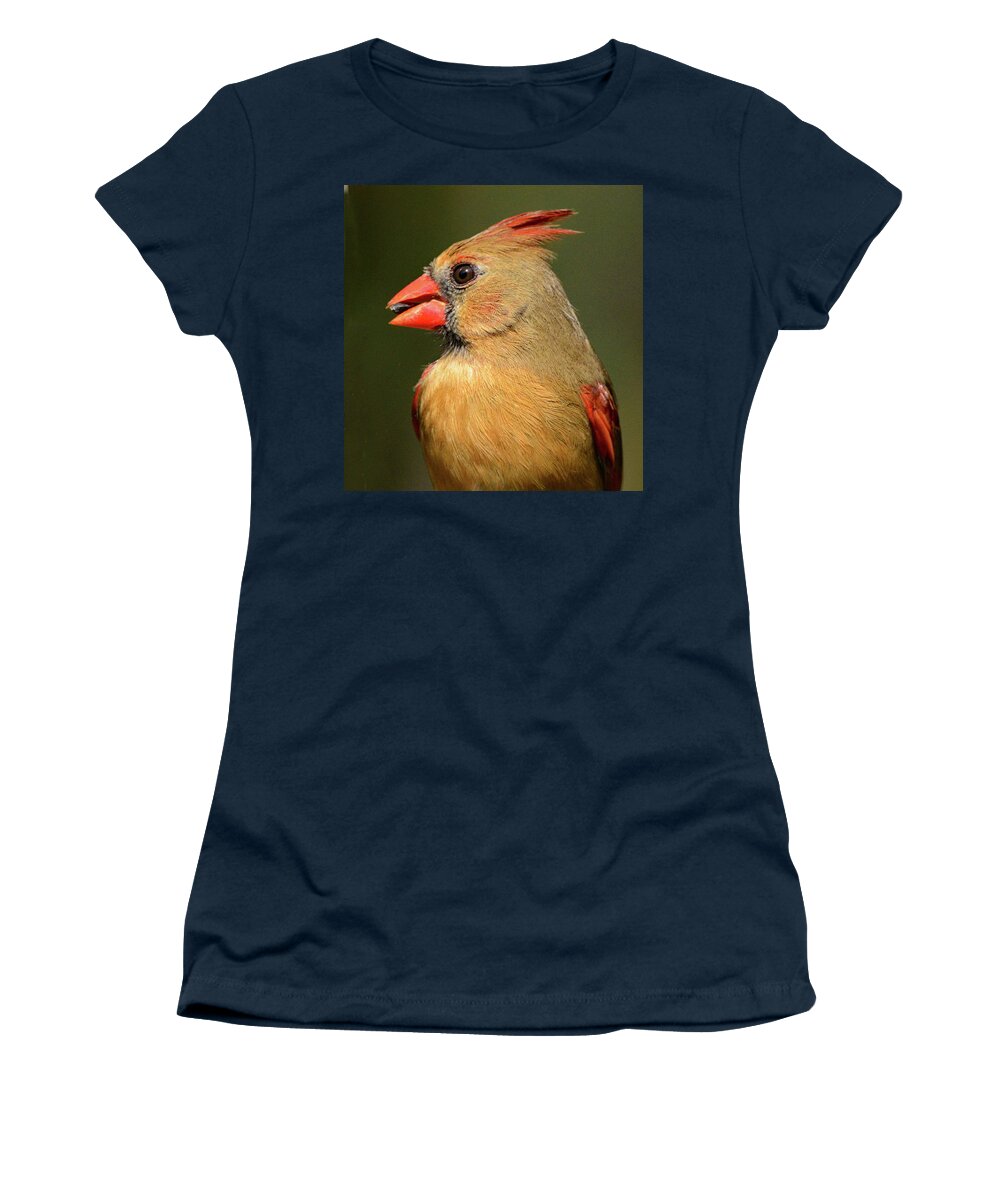 Cardinal Women's T-Shirt featuring the photograph Female Cardinal Portrait by Jerry Griffin