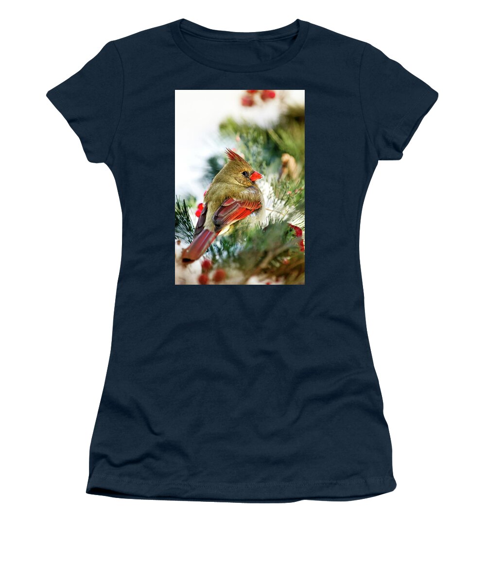 Cardinal Women's T-Shirt featuring the photograph Female Northern Cardinal by Christina Rollo