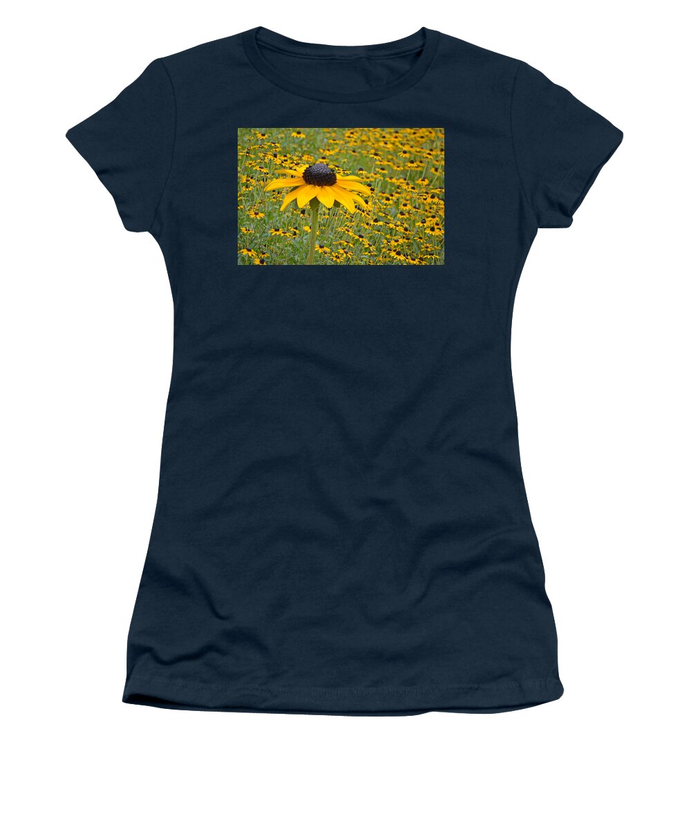 Coneflowers Women's T-Shirt featuring the photograph Field of Coneflowers by Sandi OReilly