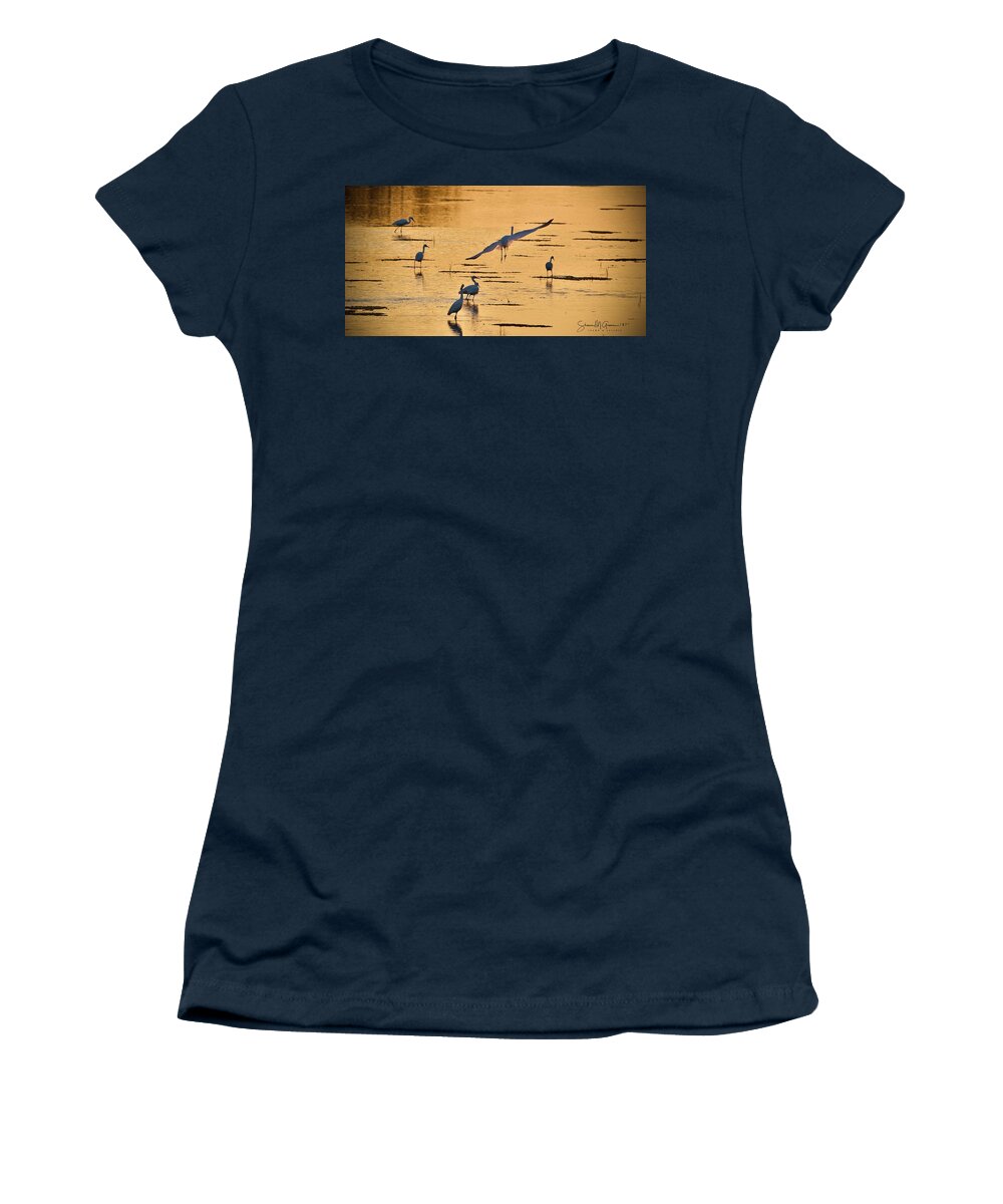 Bird Women's T-Shirt featuring the photograph Final Glide Path to Dinner by Shawn M Greener