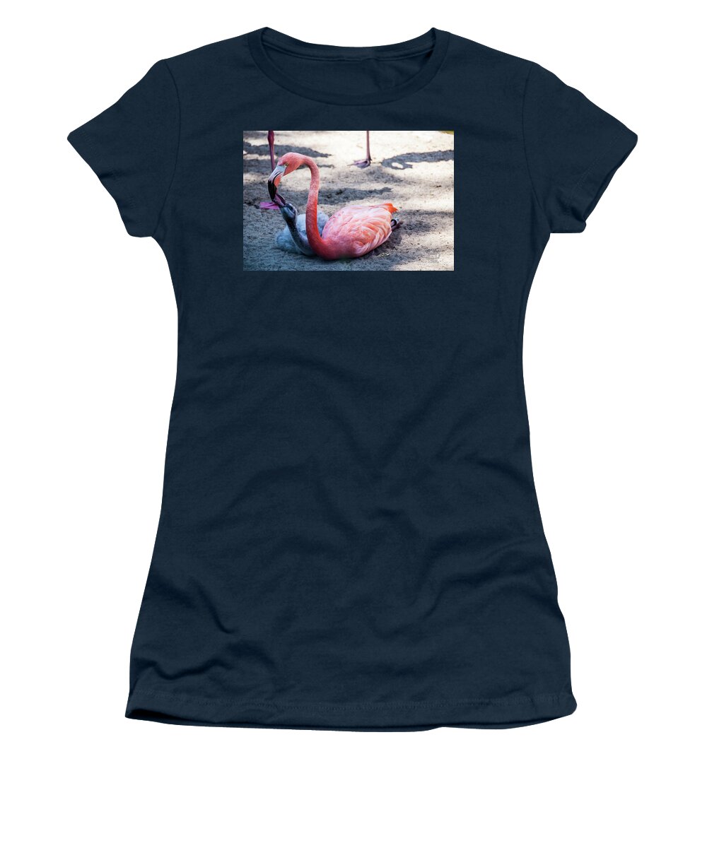  Women's T-Shirt featuring the photograph Flamingo Feeding CHick by Daniel Hebard