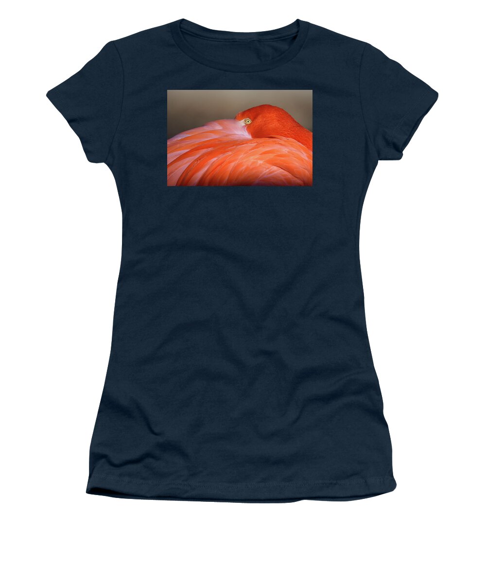 Flamingo Women's T-Shirt featuring the photograph Flamingo by Michael Hubley
