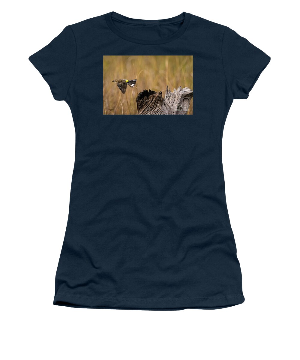 Warbler Women's T-Shirt featuring the photograph Flight Of The Driftwood Butterbutt by DB Hayes