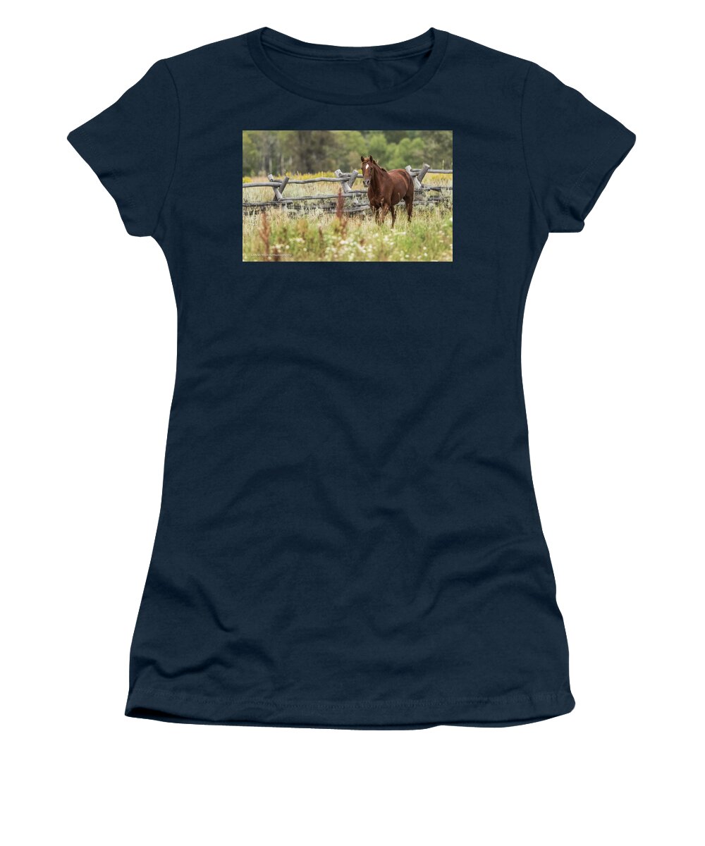 Grand Teton National Park Women's T-Shirt featuring the photograph Flirty Sorrell by Yeates Photography