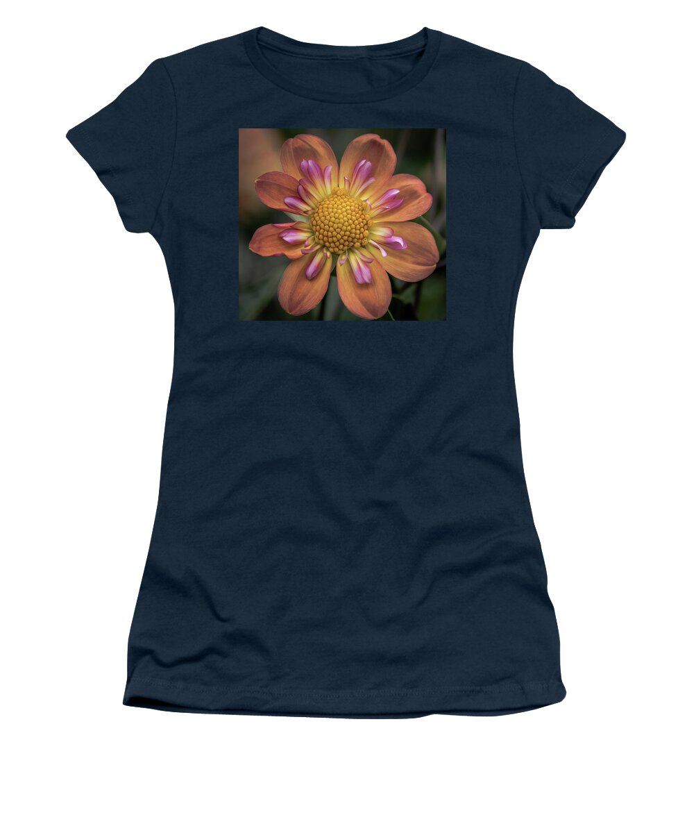 Dahlia Women's T-Shirt featuring the photograph Floral Excellence by Jerry Cahill