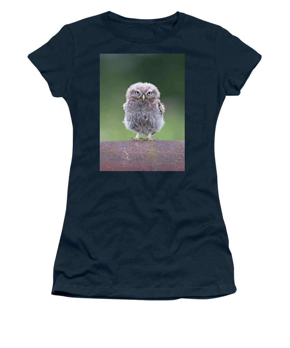Little Women's T-Shirt featuring the photograph Fluffy Little Owl Owlet by Pete Walkden