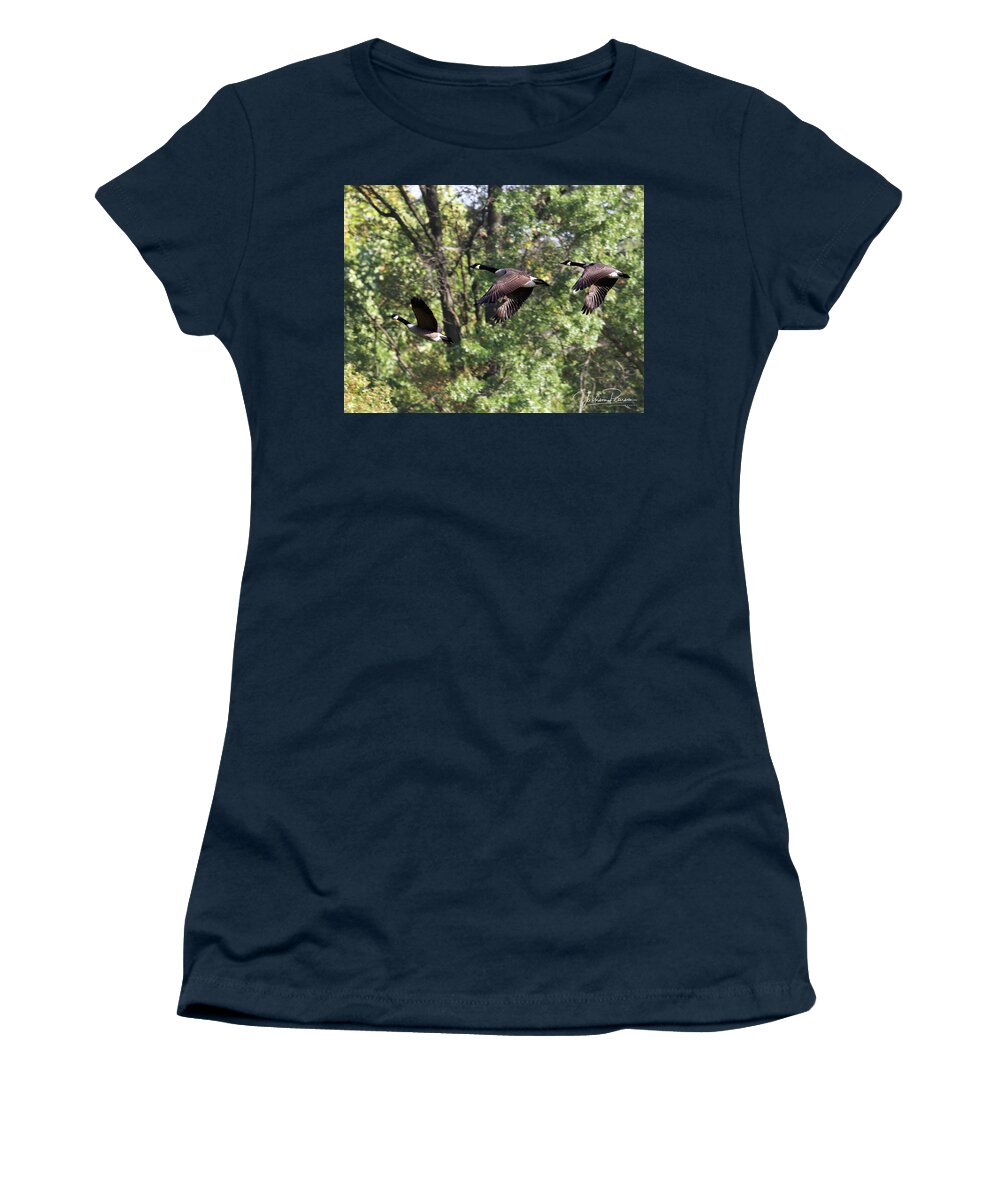 Geese Women's T-Shirt featuring the photograph Fly Away by Jackson Pearson