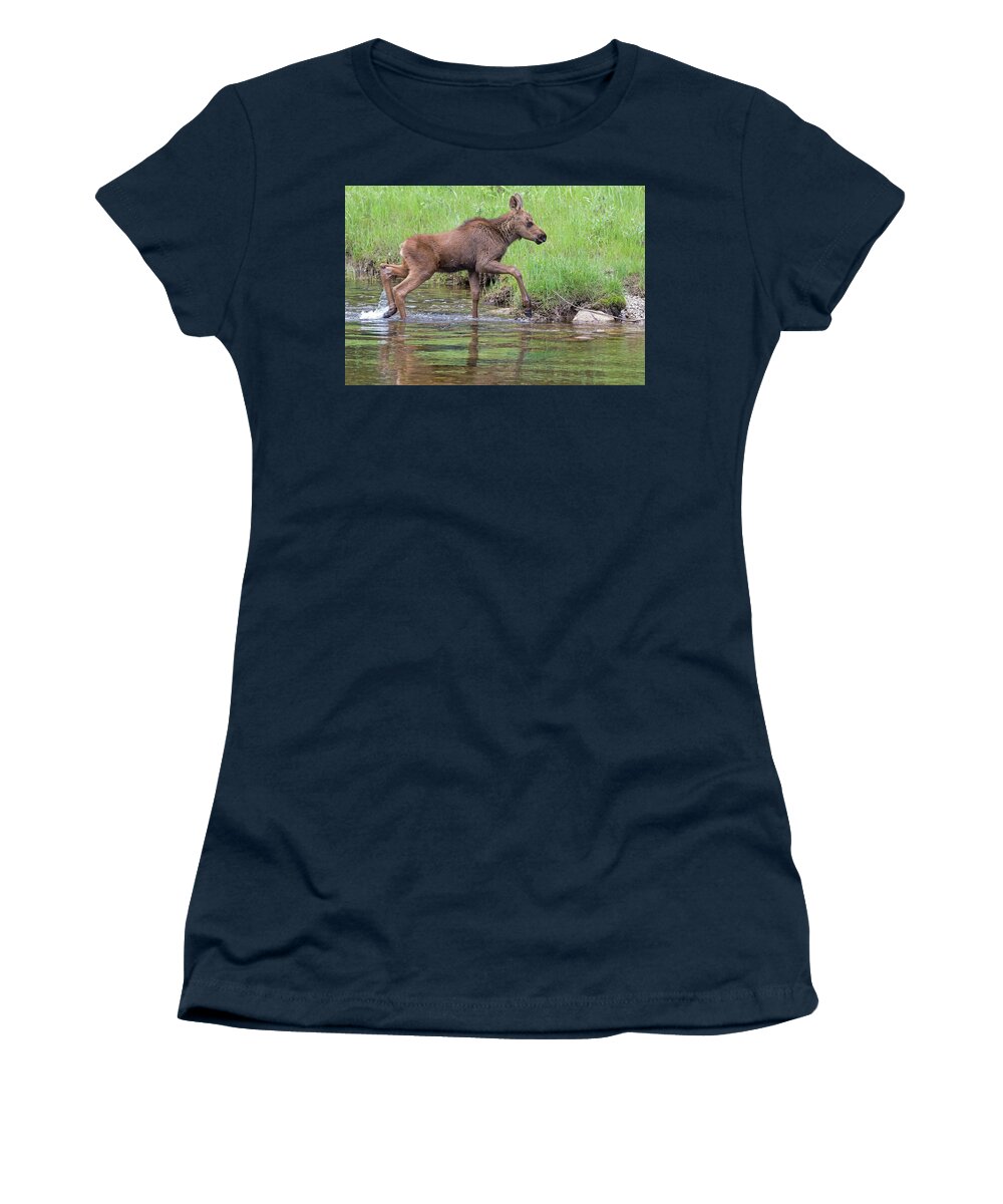 Moose Calf Women's T-Shirt featuring the photograph Fording the Colorado River by Mindy Musick King