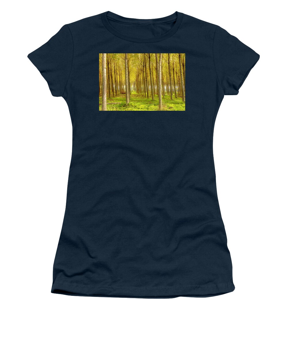 Wostphoto Women's T-Shirt featuring the photograph Forest in Autumn by Wolfgang Stocker