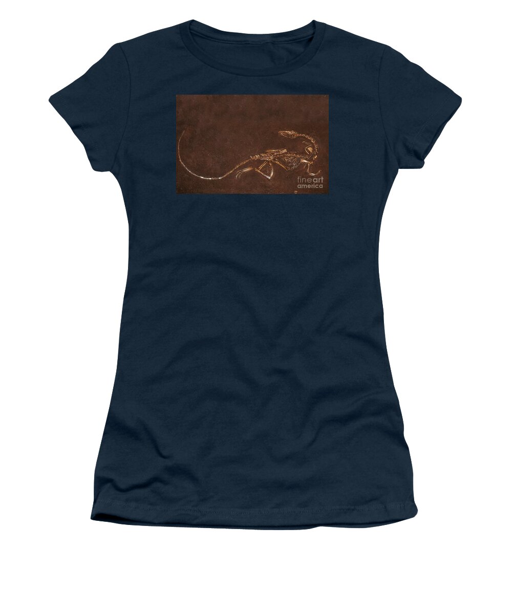 Animal Women's T-Shirt featuring the photograph Fossil Of Dinosaur Coelophysis Bauri by Gerard Lacz