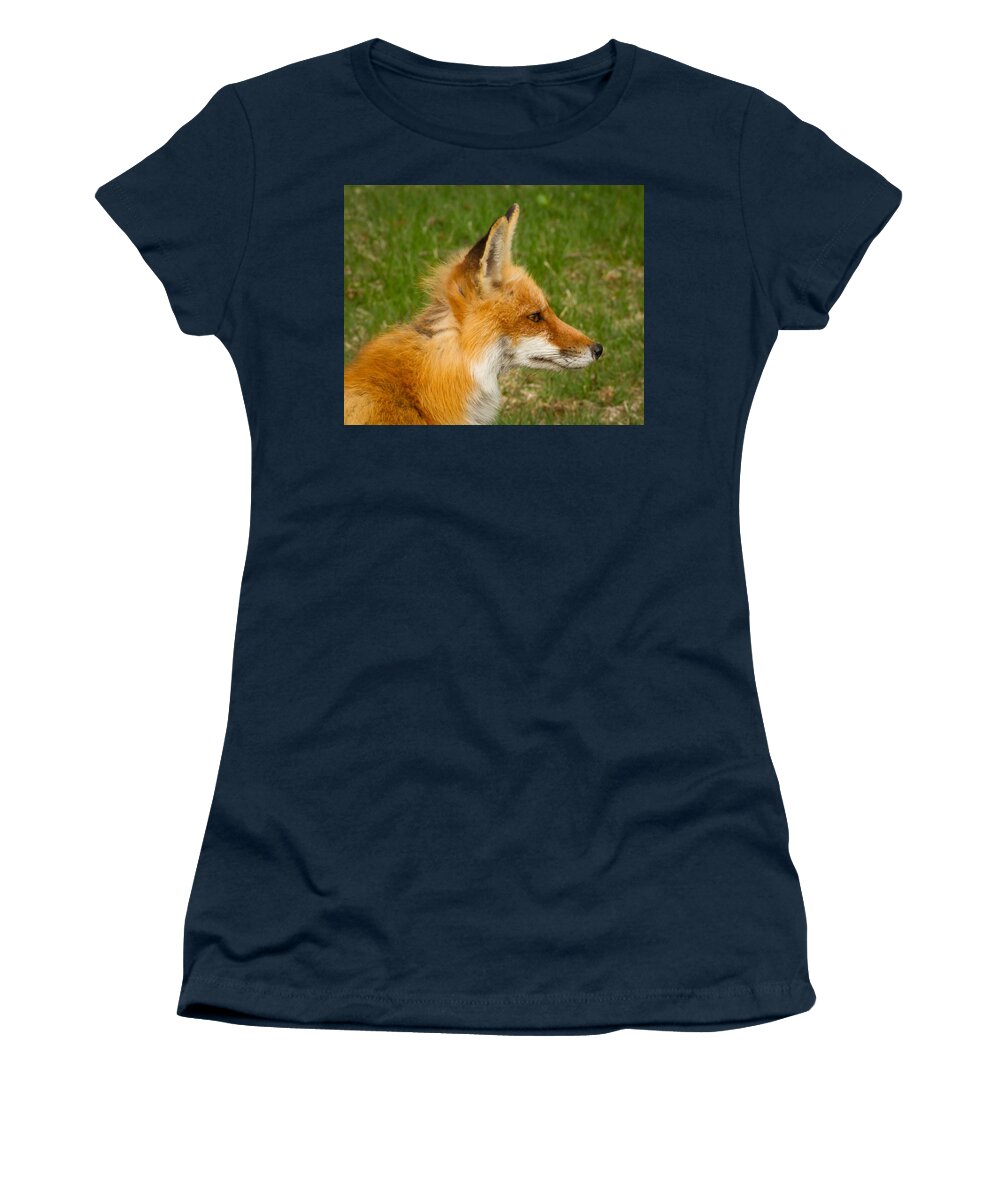 Fox Women's T-Shirt featuring the photograph Fox Profile by Brian Caldwell
