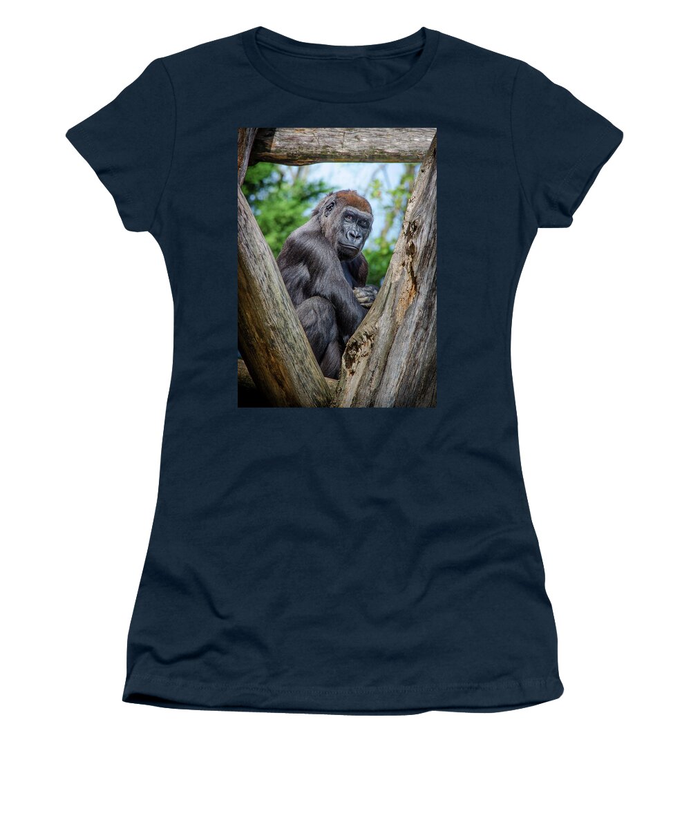 Great Apes Women's T-Shirt featuring the photograph Framed by Neil Shapiro