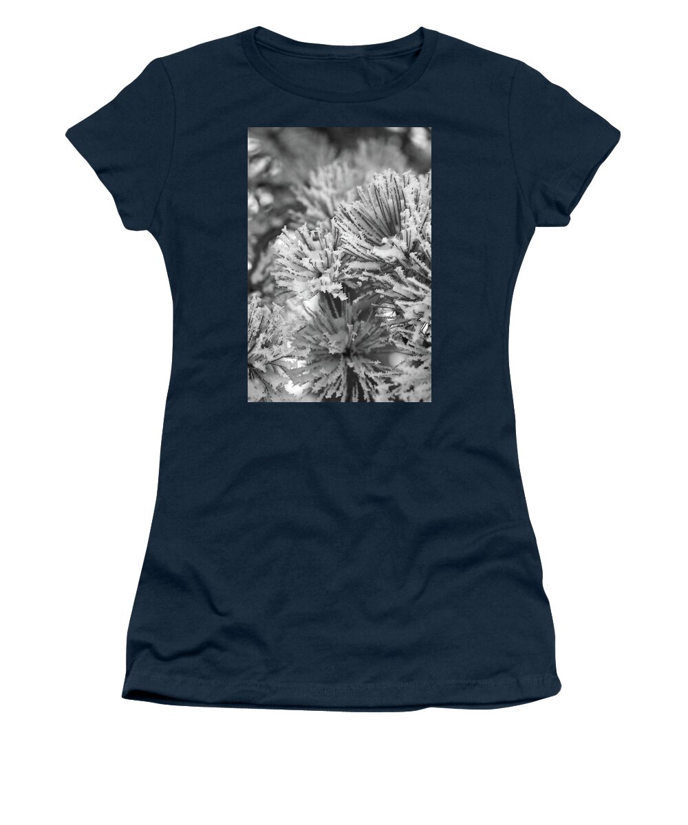 Pine Tree Women's T-Shirt featuring the photograph Frosted by Ivan Franklin