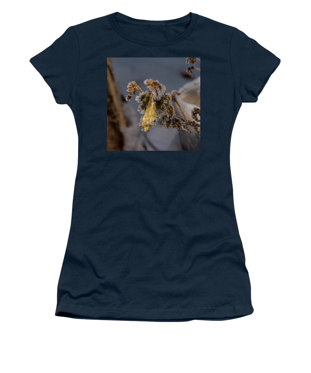Frosted Rose Women's T-Shirt featuring the photograph Frosted Rose by Paul Freidlund