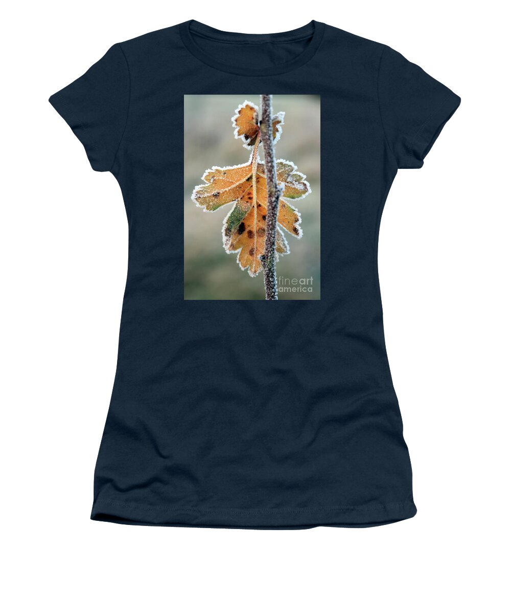 Winter Morning Frost Frosty Leaf Women's T-Shirt featuring the photograph Frosty leaf by Julia Gavin