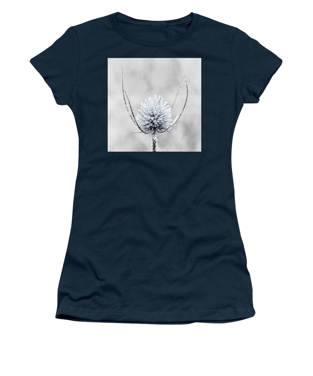 Ice Women's T-Shirt featuring the photograph Frosty Thistle by Nick Bywater