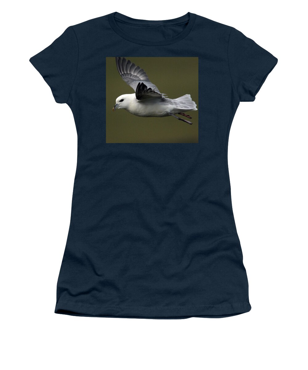 Fulmar Women's T-Shirt featuring the photograph Fulmar in flight by Tony Mills