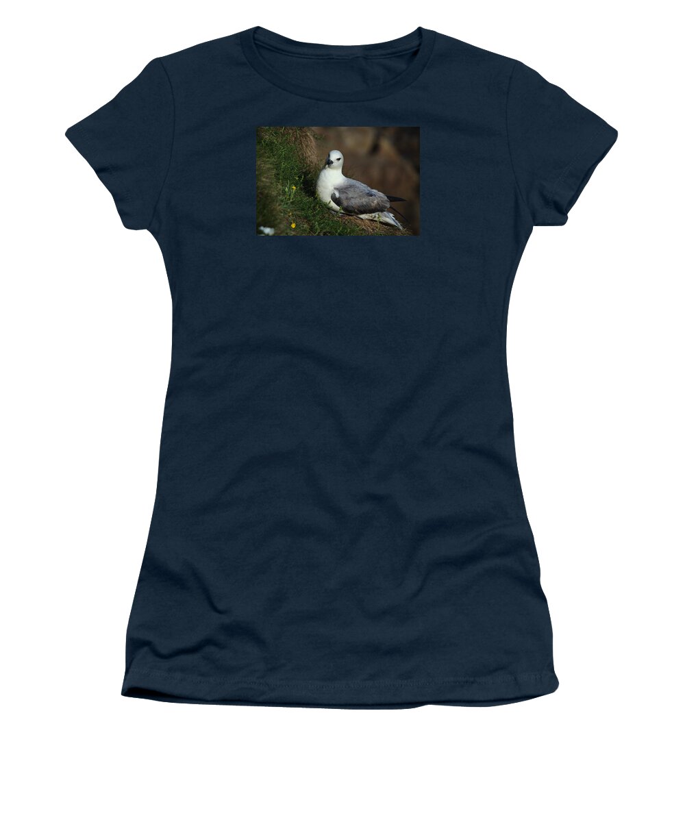 Fulmar Women's T-Shirt featuring the photograph Fulmar Nesting on Cliff by Adrian Wale