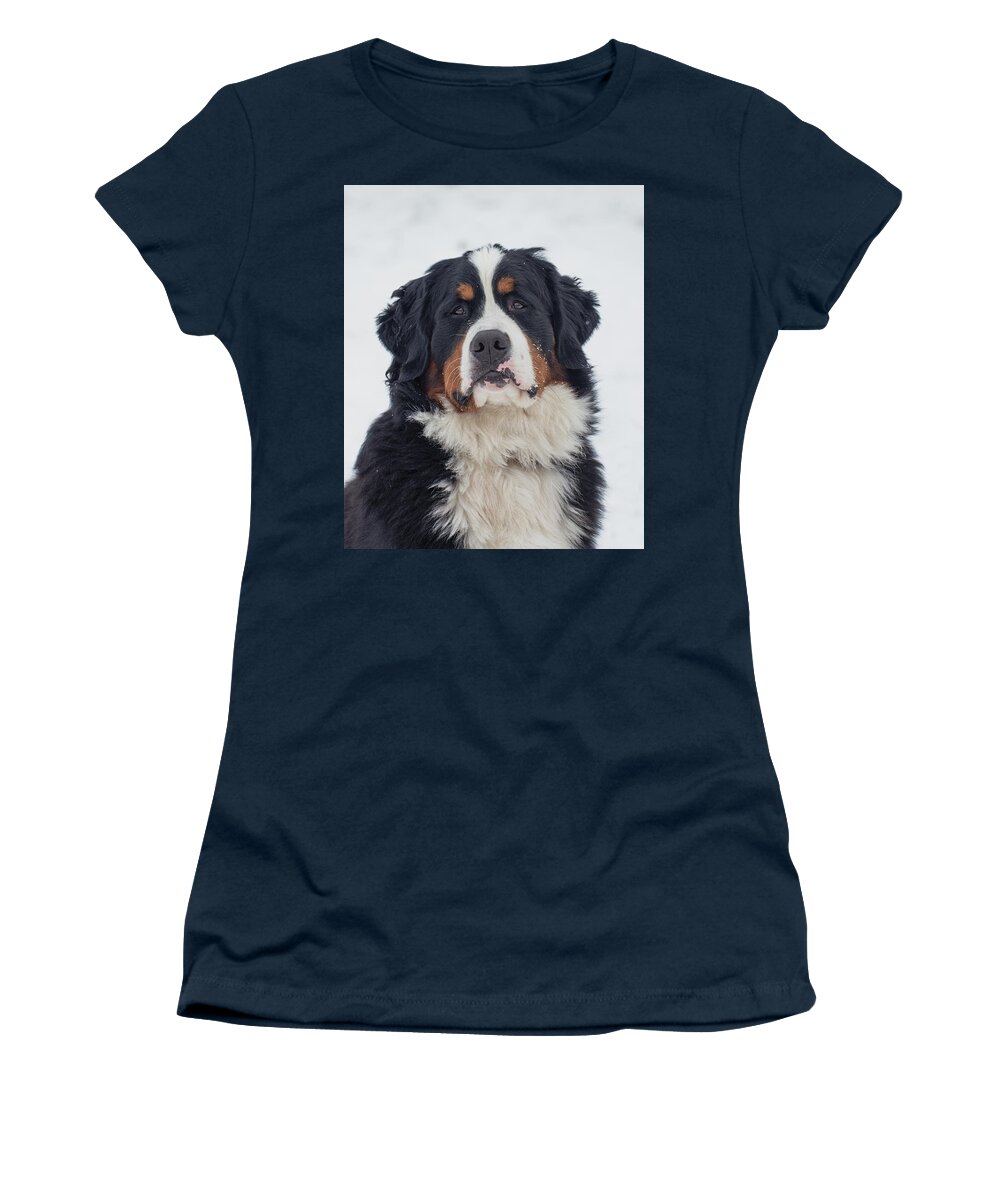 Bernese Mountain Dog Women's T-Shirt featuring the photograph Fuzzy Companion by Jim Zablotny