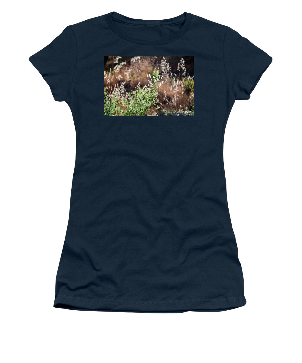 Andalucia Women's T-Shirt featuring the photograph Garden Contre Jour 2 by Geoff Smith