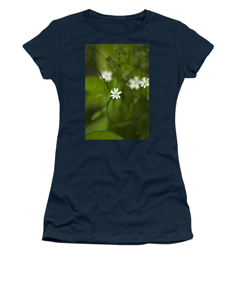 Flowers Women's T-Shirt featuring the photograph Chickweed Wildflower by Christina Rollo
