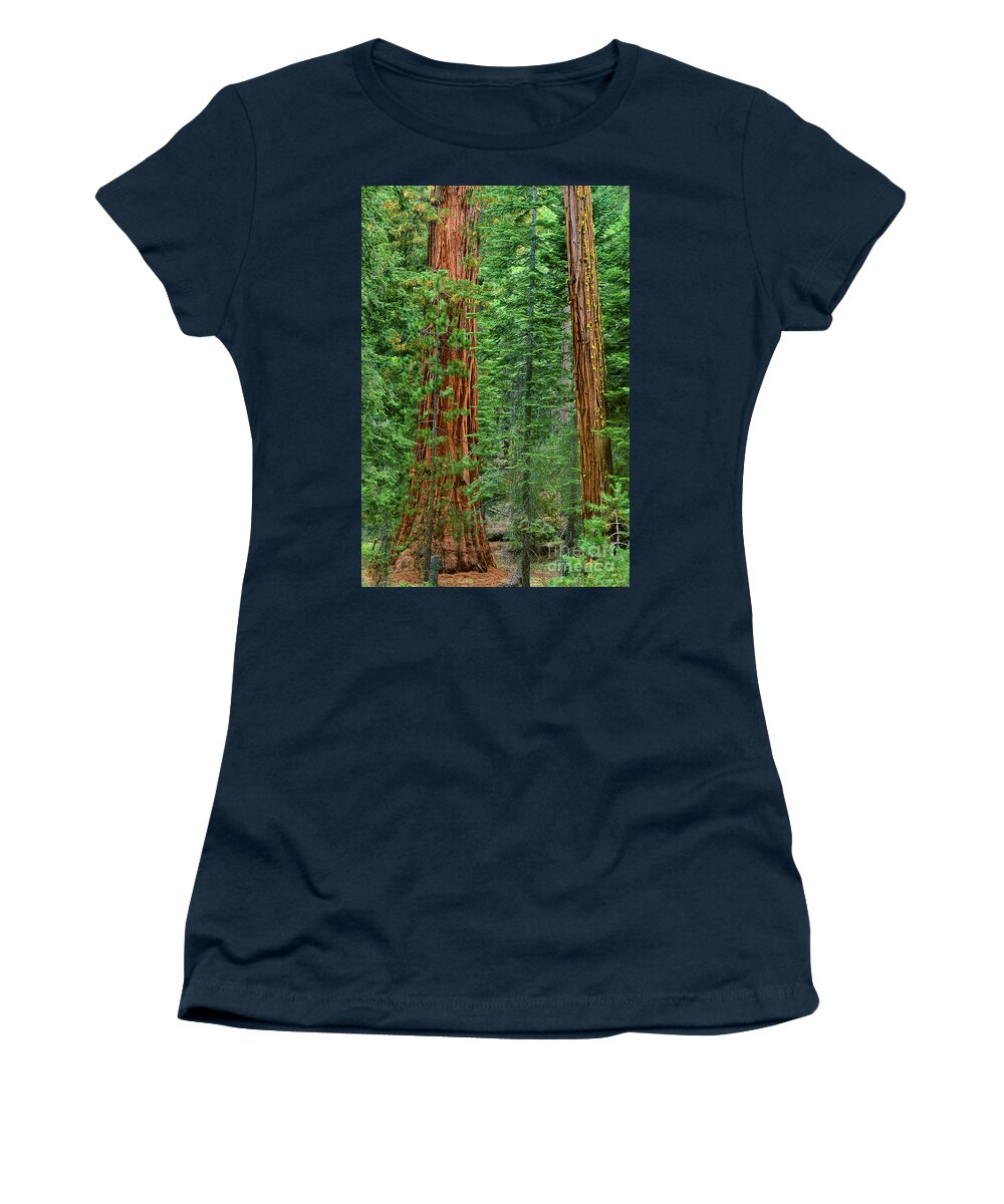 North America Women's T-Shirt featuring the photograph Giant Sequoias Sequoiadendron Gigantium Yosemite NP CA by Dave Welling
