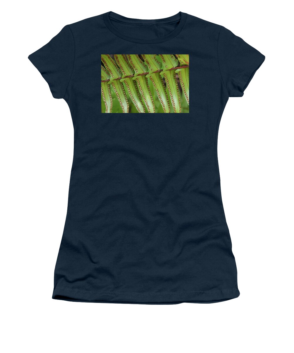 Fern Women's T-Shirt featuring the photograph Giant Sword Fern Sori by Paul Rebmann