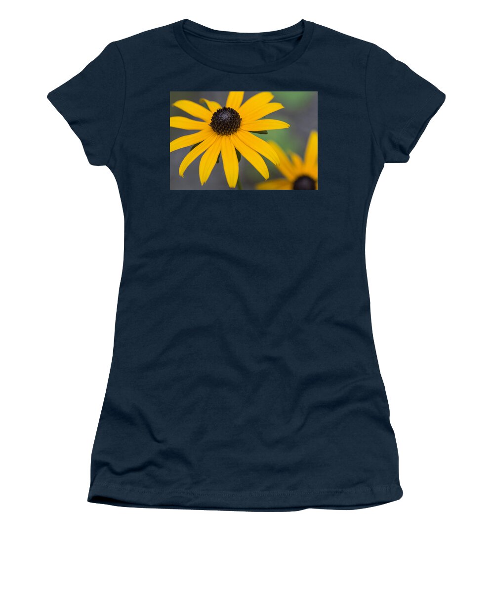 Black-eyed Susan Women's T-Shirt featuring the photograph Gloriosa Daisies by Arlene Carmel